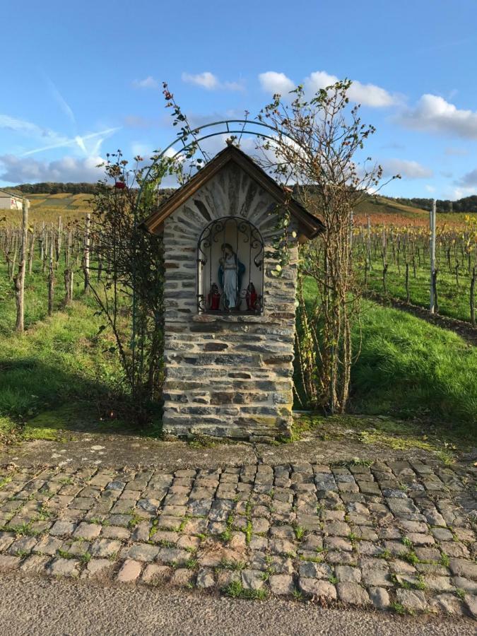 Mosel-Auszeit Apartamento Brauneberg Exterior foto